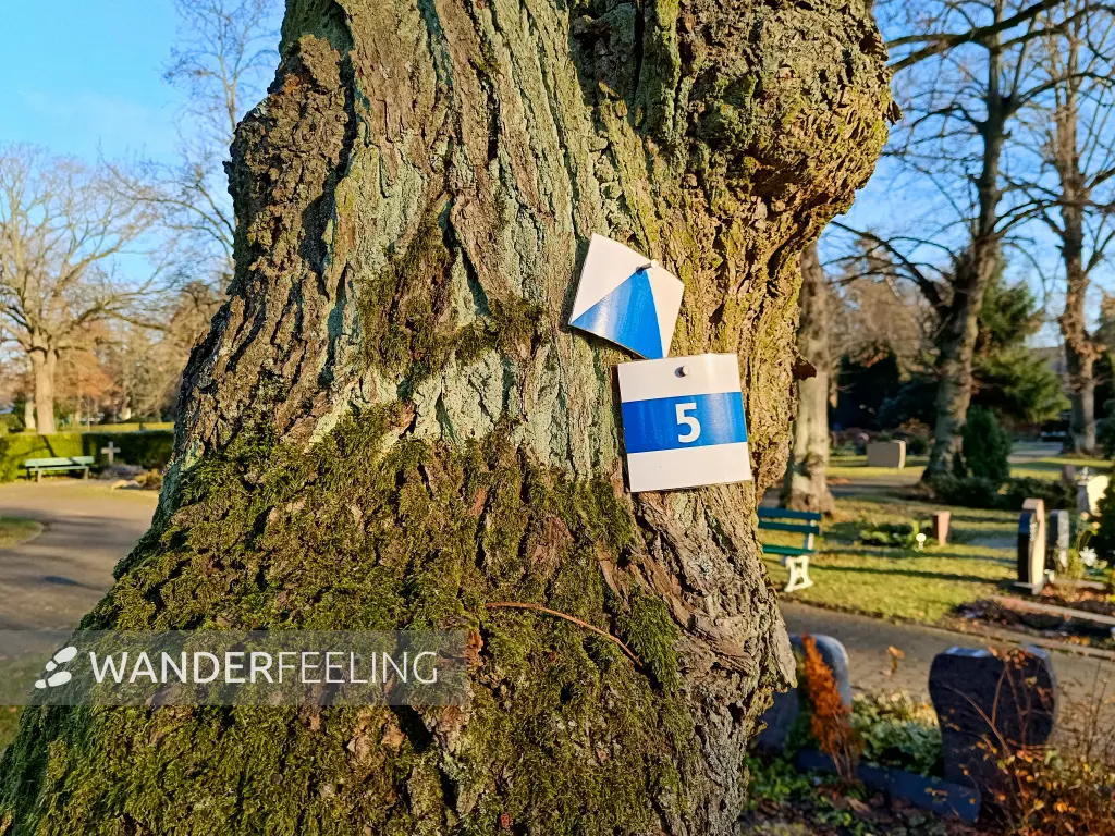 202511220-13 - Wegmarkierung auf dem Luther-Friedhof in Lankwitz, Berlin, Deutschland