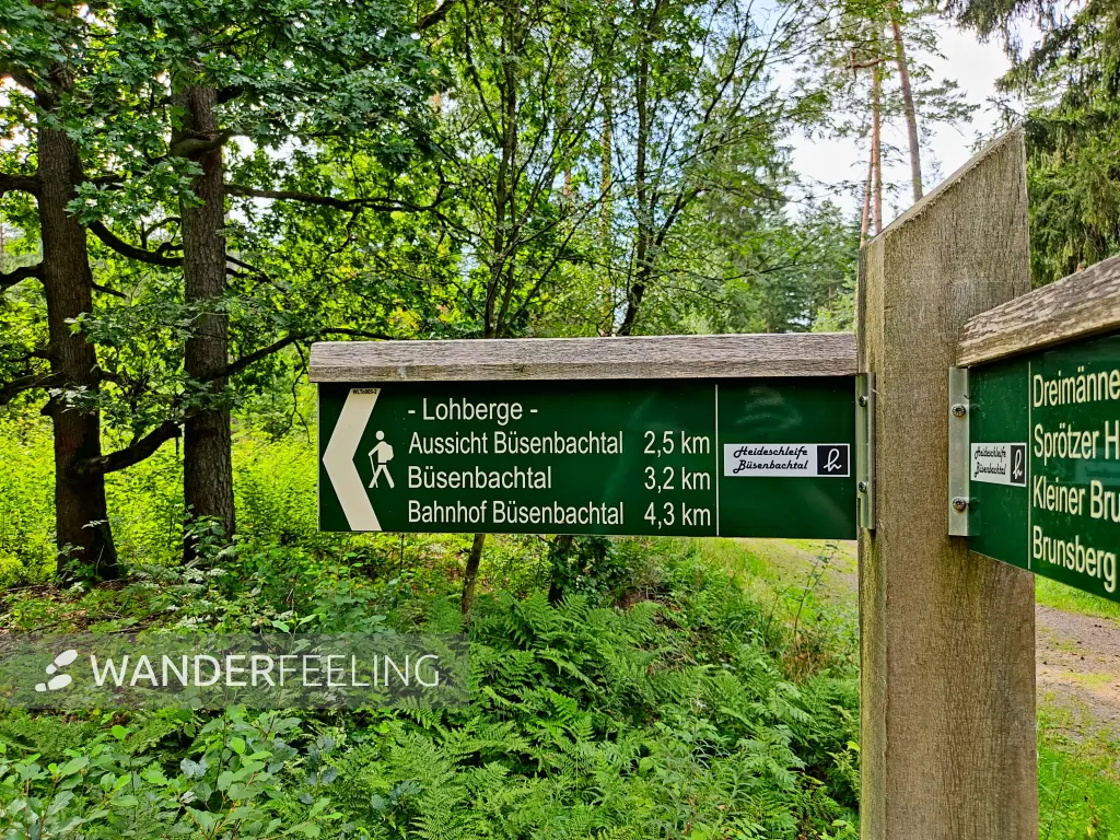 202308240-40 - Wegweiser am Büsenbachtal, Lüneburger Heide, Niedersachsen, Deutschland