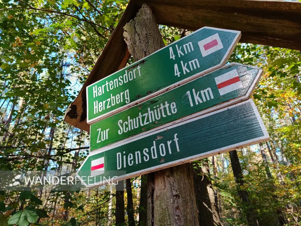202610190-12 - Wegweiser bei Diensdorf, Seenland Oder-Spree, Brandenburg, Deutschland