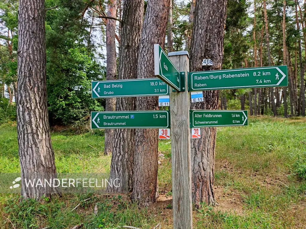 202308050-06 - Wegweiser bei Grubo, Fläming, Brandenburg, Deutschland