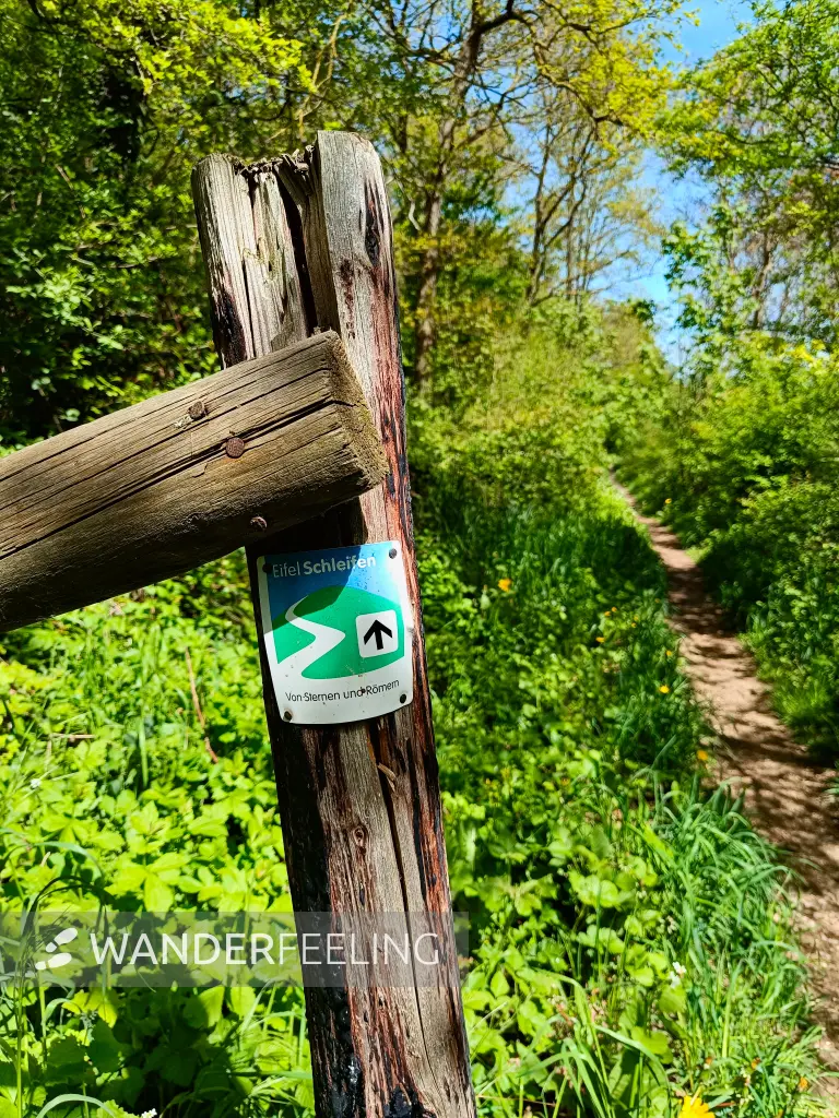 202604240-01 - Wegweiser bei Iversheim, Eifel, Nordrhein-Westfalen, Deutschland