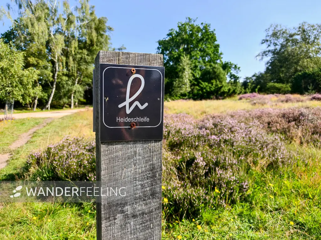 202308210-06 - Wegweiser bei Overhaverbeck, Lüneburger Heide, Niedersachsen, Deutschland