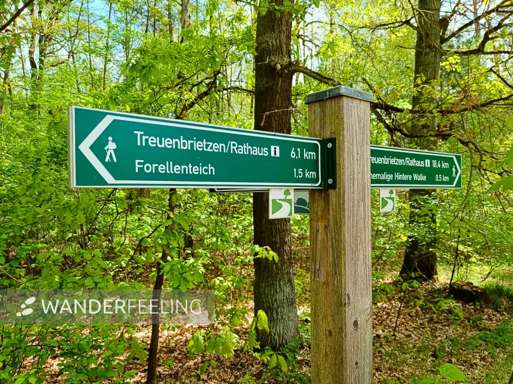 202505080-14 - Wegweiser bei Treuenbrietzen, Fläming, Brandenburg, Deutschland