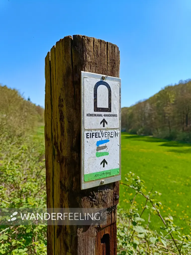 202604220-12 - Wegweiser bei Urfey, Eifel, Nordrhein-Westfalen, Deutschland