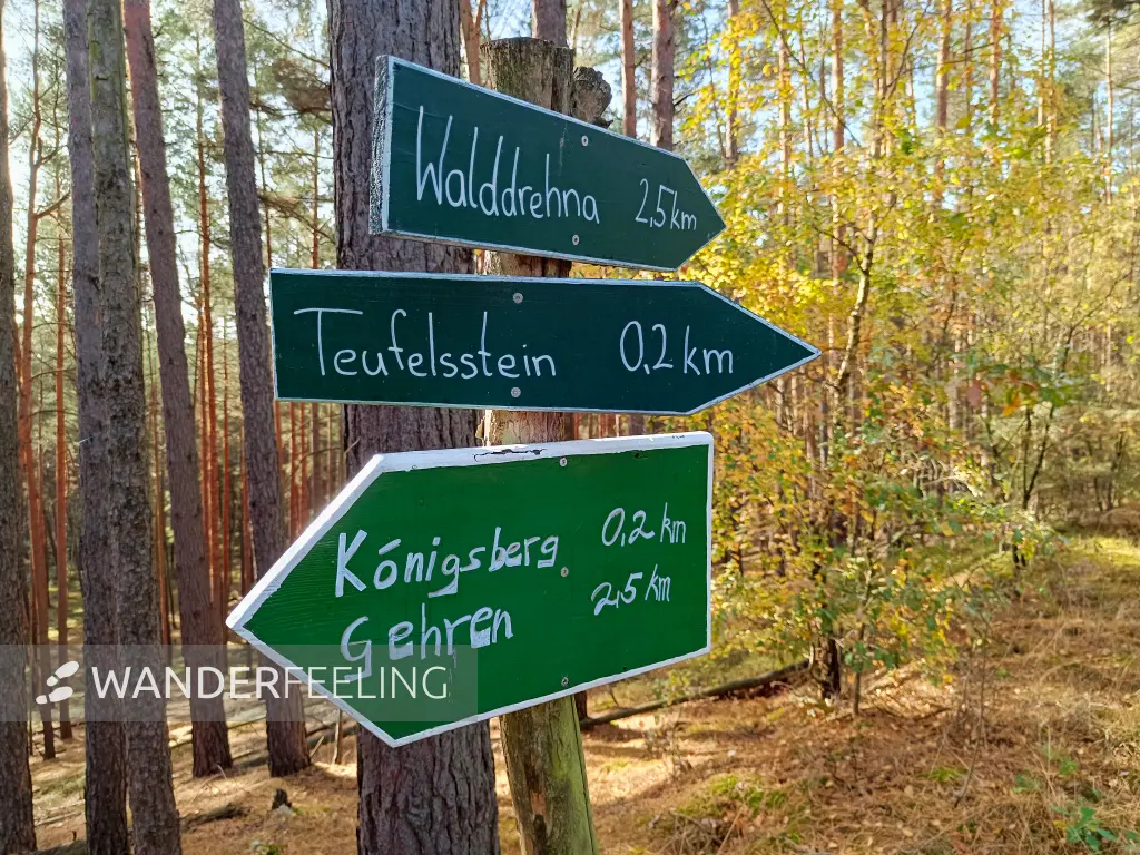 202610140-04 - Wegweiser bei Walddrehna, Lausitz, Brandenburg, Deutschland