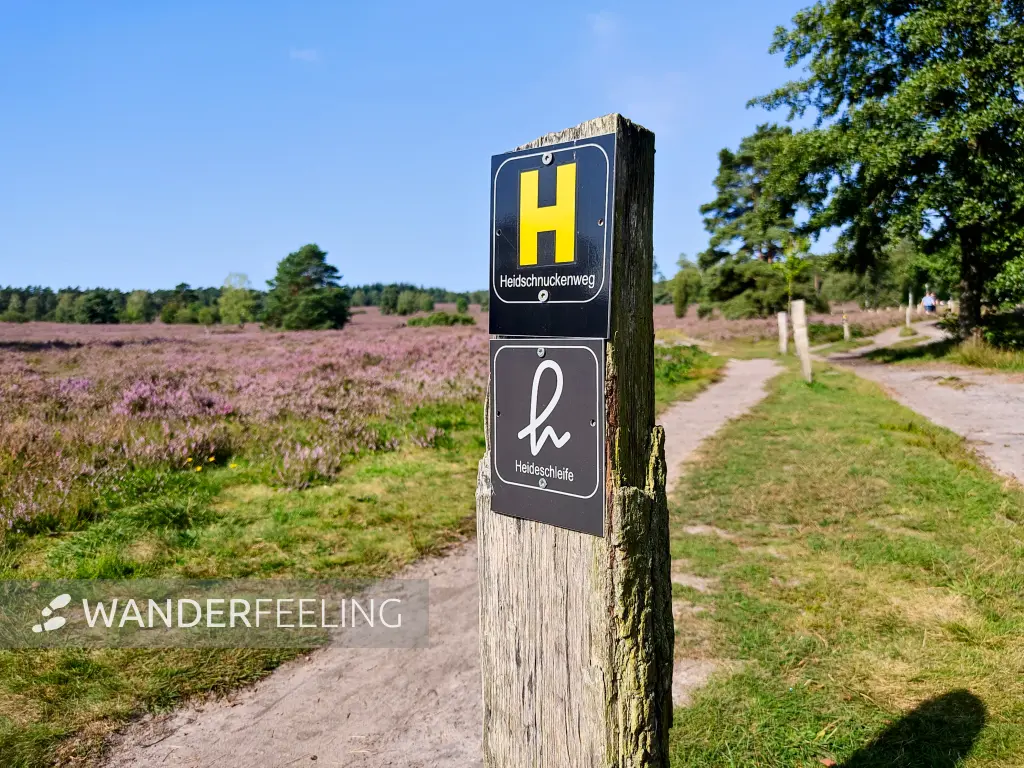 202308240-11 - Wegweiser im Büsenbachtal, Lüneburger Heide, Niedersachsen, Deutschland