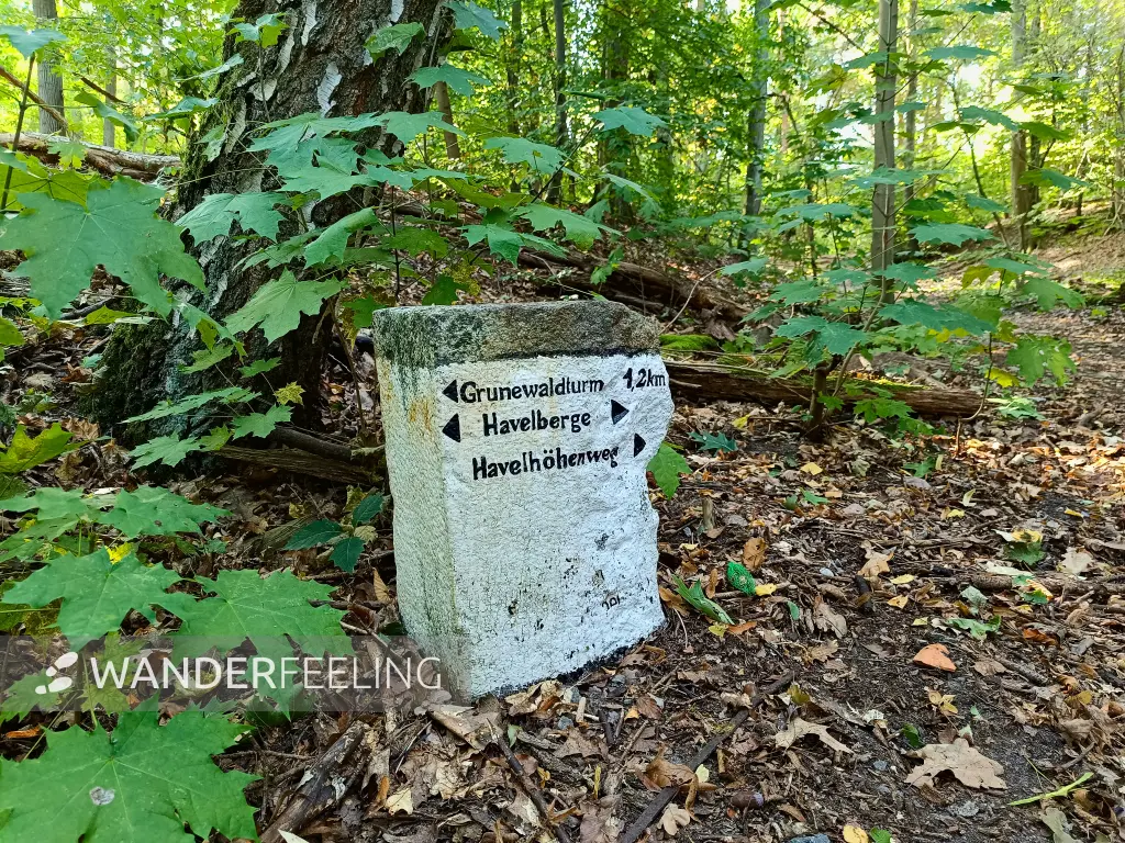 202509270-11 - Wegweiser im Grunewald, Berlin, Deutschland