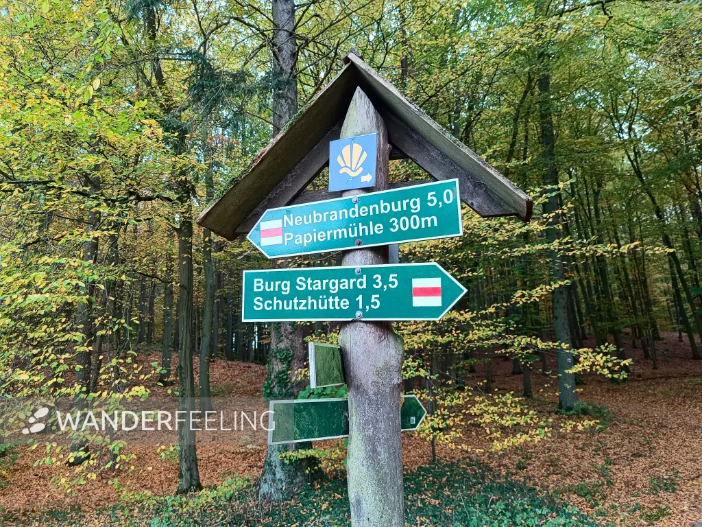 202510210-30 - Wegweiser im Lindetal bei Burg Stargard, Mecklenburgische Seenplatte, Mecklenburg-Vorpommern, Deutschland