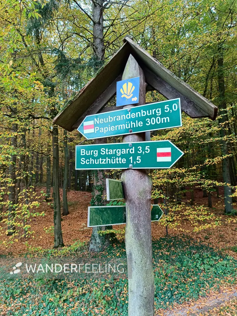202510210-31 - Wegweiser im Lindetal bei Burg Stargard, Mecklenburgische Seenplatte, Mecklenburg-Vorpommern, Deutschland