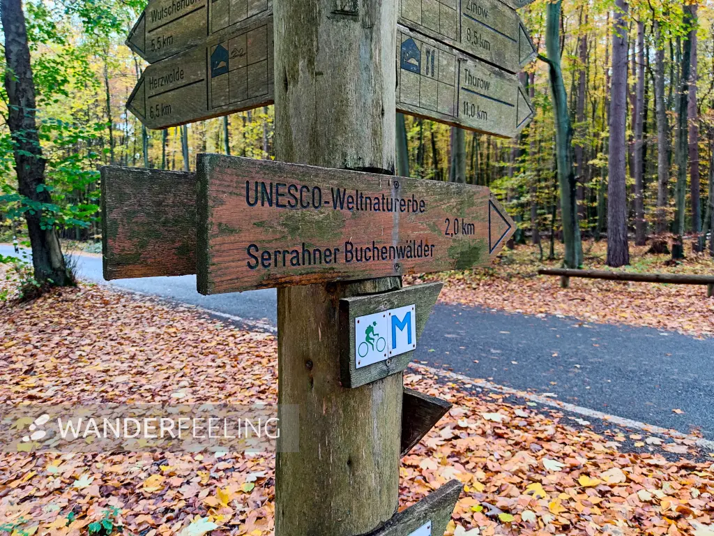 202311060-01 - Wegweiser im Müritz-Nationalpark bei Carpin, Mecklenburgische Seenplatte, Mecklenburg-Vorpommern, Deutschland