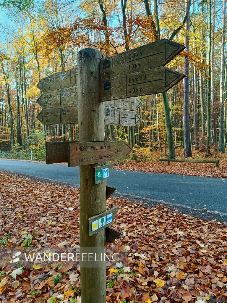 202511040-03 - Wegweiser im Müritz-Nationalpark bei Carpin, Mecklenburgische Seenplatte, Mecklenburg-Vorpommern, Deutschland