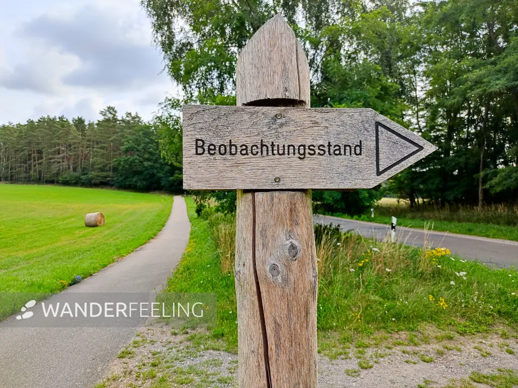 202307260-03 - Wegweiser im Müritz-Nationalpark, Mecklenburg-Vorpommern, Deutschland