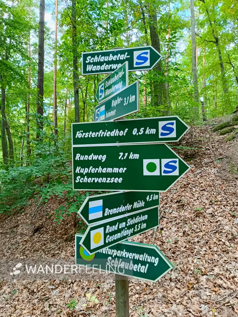 202509210-07 - Wegweiser im Schlaubetal, Seenland Oder-Spree, Brandenburg, Deutschland