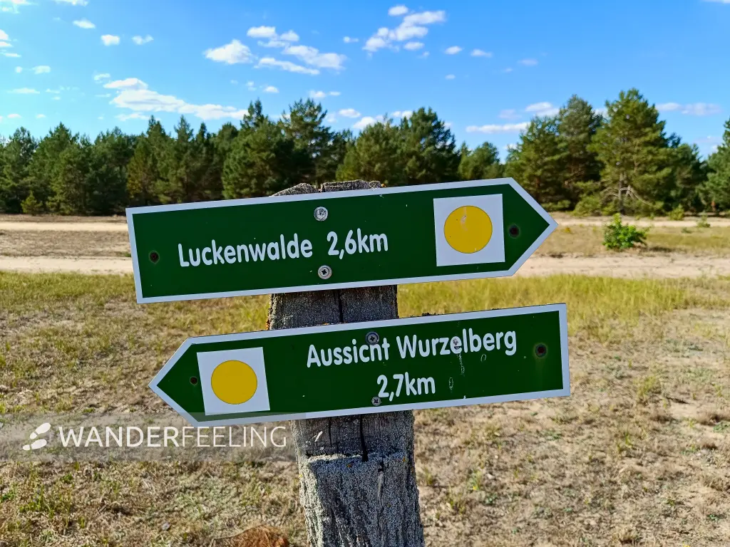 202508180-05 - Wegweiser im Wildnisgebiet Jüterbog bei Luckenwalde, Fläming, Brandenburg, Deutschland