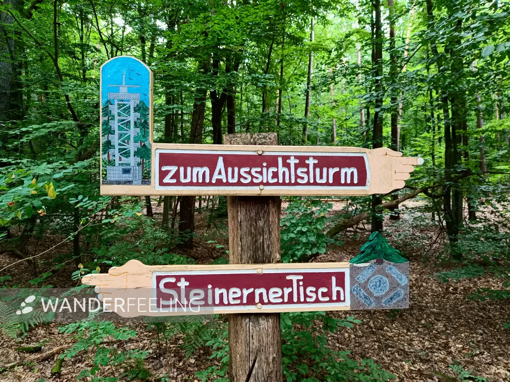 202508230-16 - Wegweiser in den Rauener Bergen, Seenland Oder-Spree, Brandenburg, Deutschland
