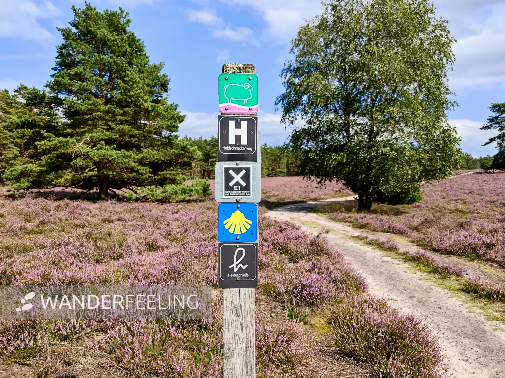 202308140-08 - Wegweiser in der Misselhorner Heide bei Hermannsburg, Lüneburger Heide, Niedersachsen, Deutschland