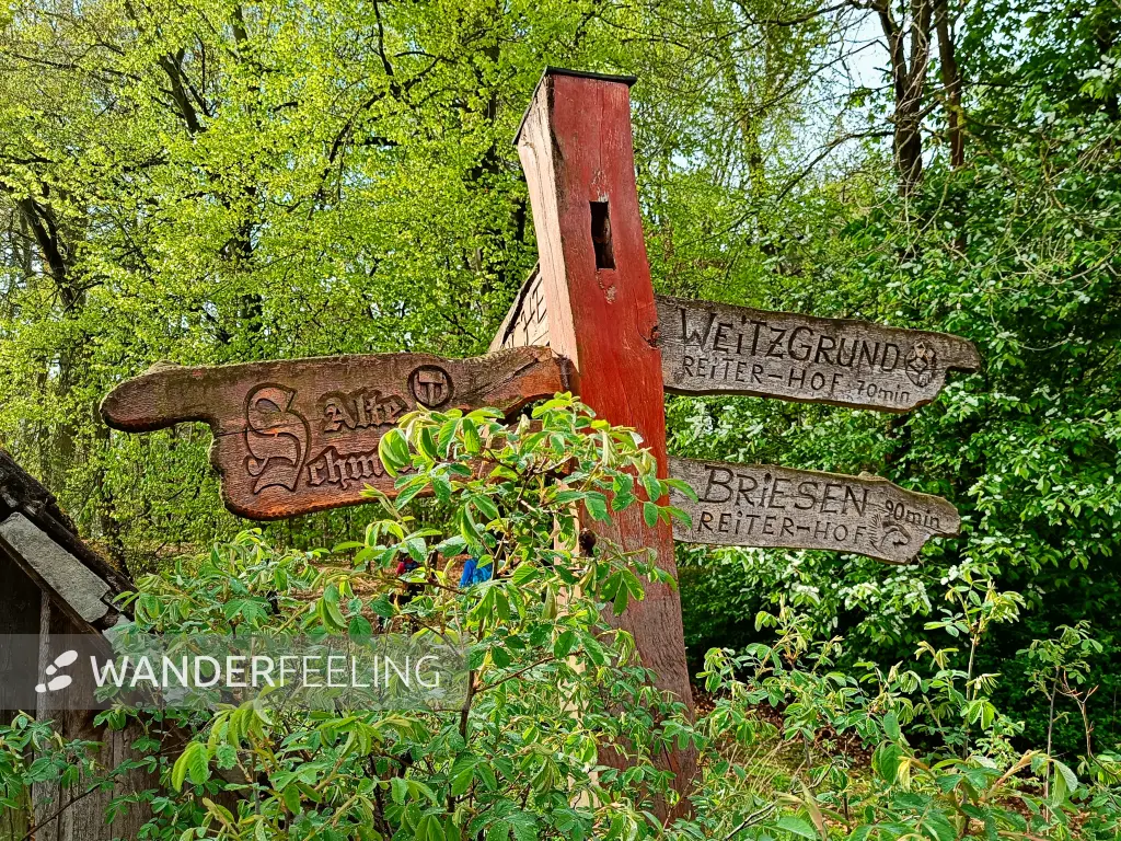 202504210-04 - Wegweiser in Dippmannsdorf, Fläming, Brandenburg, Deutschland