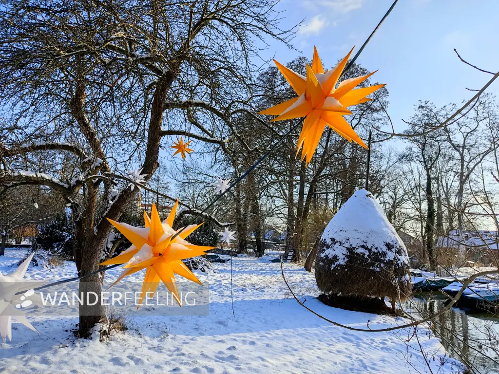 202401190-04 - Weihnachtssterne am Kleinen Hafen in Lübbenau, Spreewald, Brandenburg, Deutschland