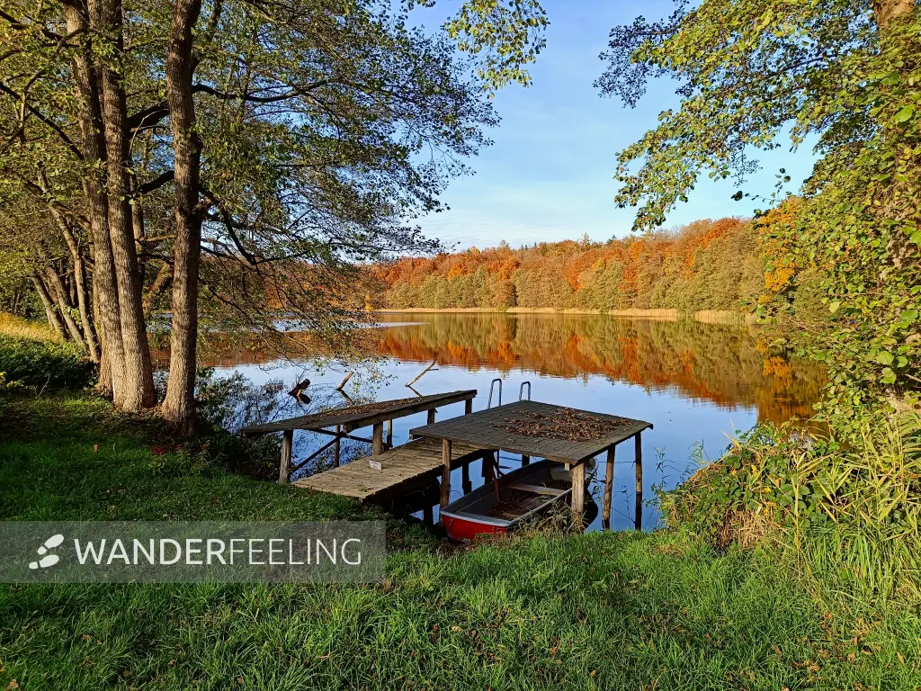 202511050-34 - Weißer See bei Weiße Krug, Mecklenburgische Seenplatte, Mecklenburg-Vorpommern, Deutschland