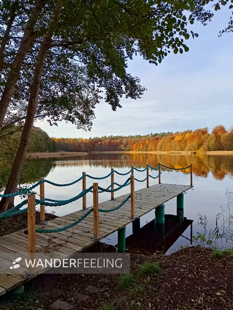 202511050-36 - Weißer See bei Weiße Krug, Mecklenburgische Seenplatte, Mecklenburg-Vorpommern, Deutschland