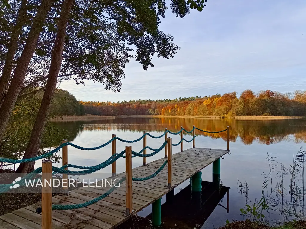 202511050-37 - Weißer See bei Weiße Krug, Mecklenburgische Seenplatte, Mecklenburg-Vorpommern, Deutschland