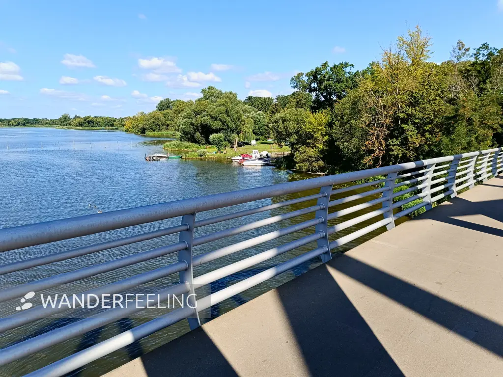 202408030-07 - Wendsee bei Kirchmöser, Havelland, Brandenburg, Deutschland