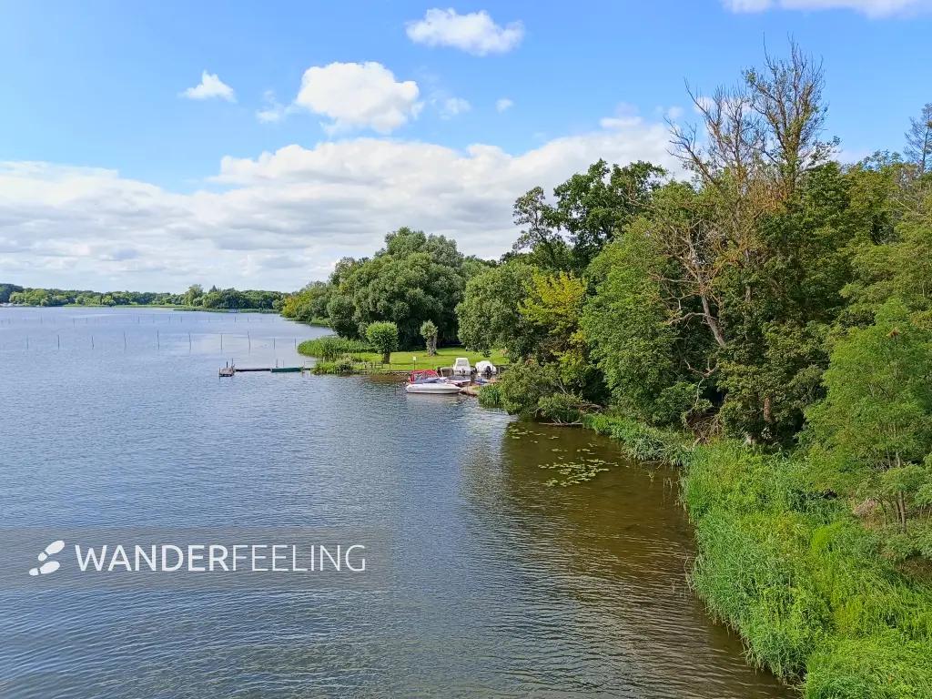 202507260-26 - Wendsee bei Plaue, Havelland, Brandenburg, Deutschland