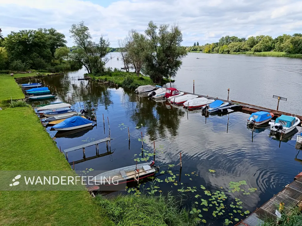 202507260-28 - Wendsee bei Plaue, Havelland, Brandenburg, Deutschland