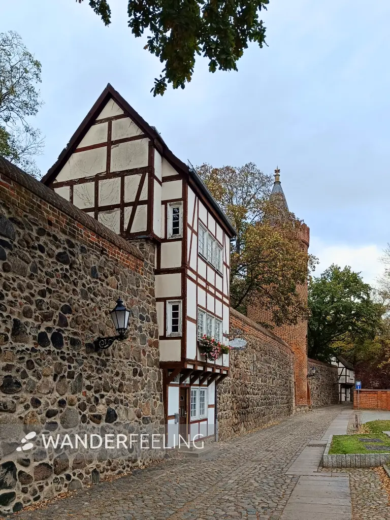 202510210-51 - Wiekhaus und Fangelturm in Neubrandenburg, Mecklenburgische Seenplatte, Mecklenburg-Vorpommern, Deutschland