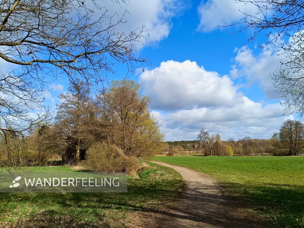 202604060-03 - Wiesen am Tegeler Fließ bei Lübars, Berlin, Deutschland