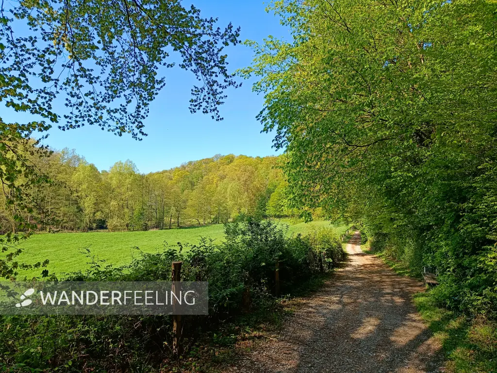 202604230-22 - Wiesen an der Düssel im Düsseltal, Bergisches Land, Nordrhein-Westfalen, Deutschland