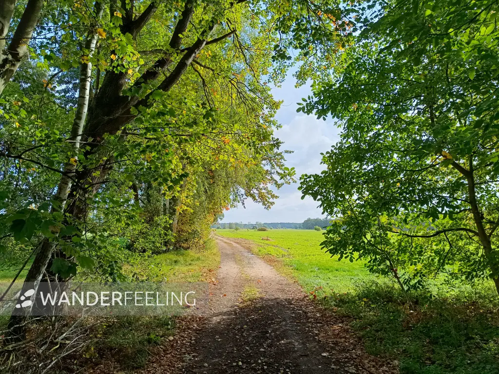202610140-09 - Wiesenlandschaft bei Gehren, Lausitz, Brandenburg, Deutschland