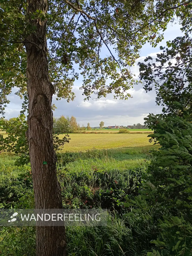 202610140-20 - Wiesenlandschaft bei Goßmar, Lausitz, Brandenburg, Deutschland