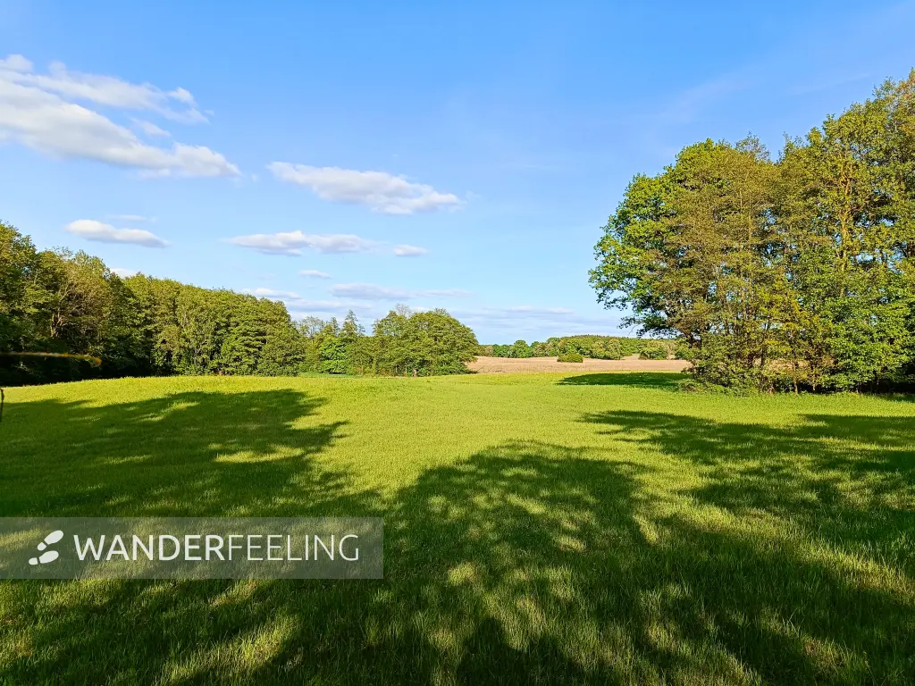 202505130-26 - Wiesenlandschaft bei Pieversdorf, Mecklenburgische Seenplatte, Mecklenburg-Vorpommern, Deutschland