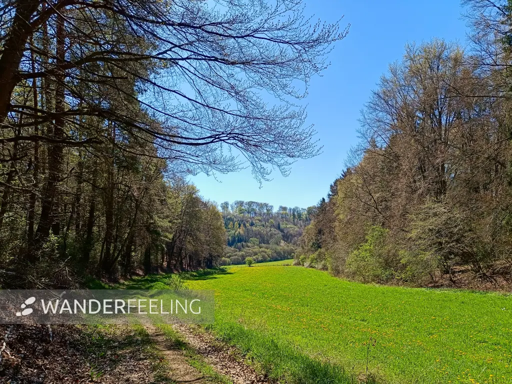 202604220-08 - Wiesental bei Keldenich, Eifel, Nordrhein-Westfalen, Deutschland