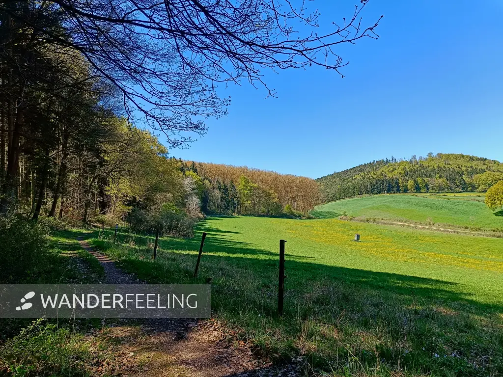 202604220-17 - Wiesental bei Vollem, Eifel, Nordrhein-Westfalen, Deutschland