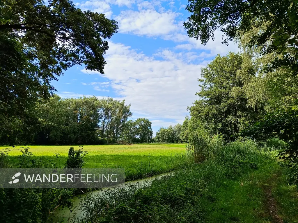 202507300-07 - Wiesenweg am Entenfang, Potsdam, Brandenburg, Deutschland