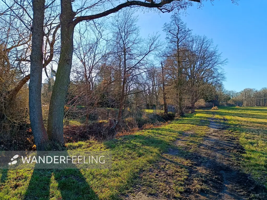 202512150-16 - Wiesenweg an der Kleinen Elster in Doberlug-Kirchhain, Elbe-Elster-Land, Brandenburg, Deutschland