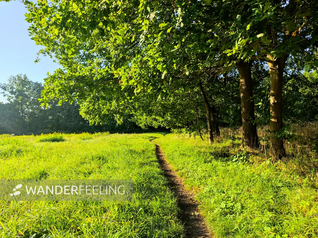202309240-09 - Wiesenweg bei Henstedt-Ulzburg, Schleswig-Holstein, Deutschland