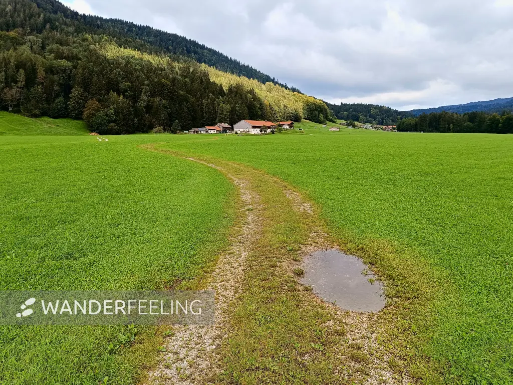 202409171-16 - Wiesenweg bei Inzell, Chiemgau, Bayern, Deutschland