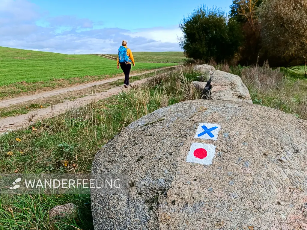 202410140-30 - Wiesenweg bei Peetzig, Uckermark, Brandenburg, Deutschland