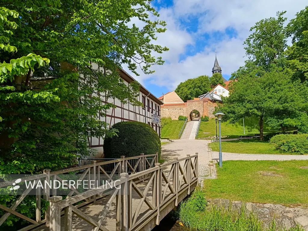 202605280-03 - Wietingsbach und Stadtmauer in Sternberg, Mecklenburgische Seenplatte, Mecklenburg-Vorpommern, Deutschland