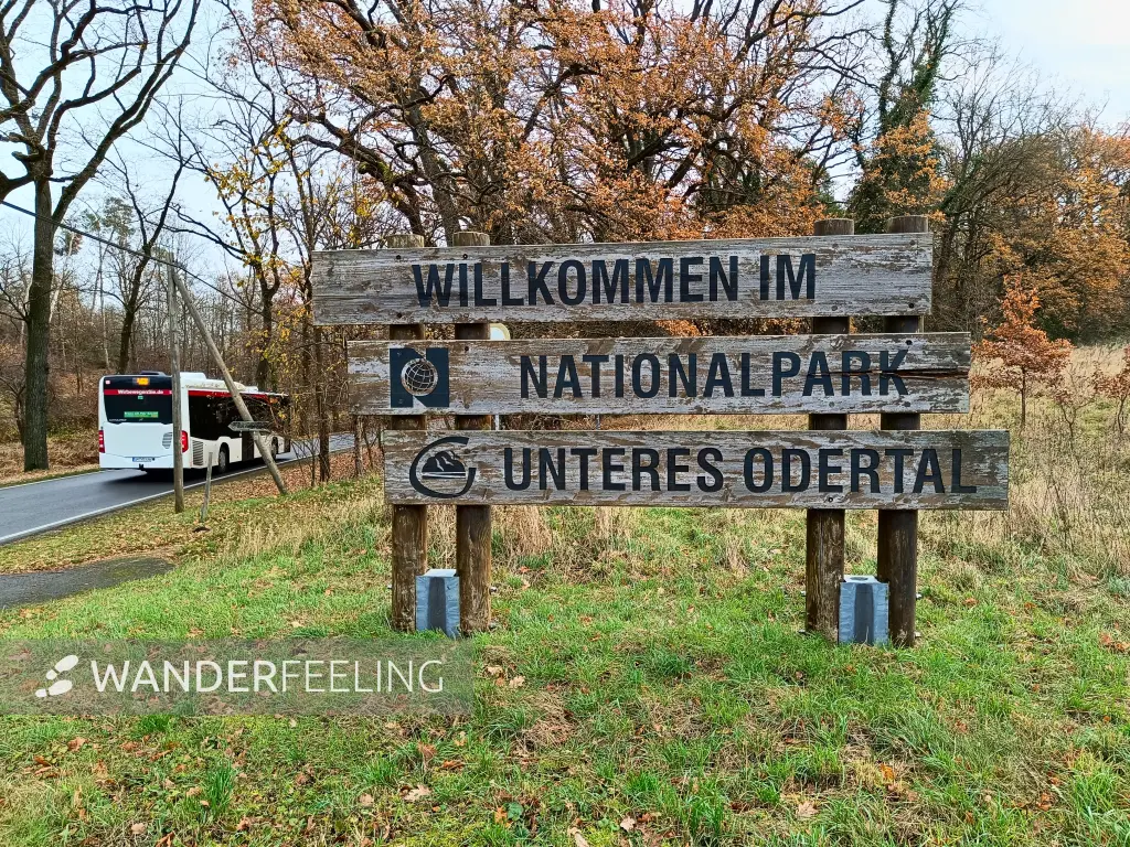 202411260-22 - »Willkommen im Nationalpark Unteres Odertal« bei Criewen, Uckermark, Brandenburg, Deutschland