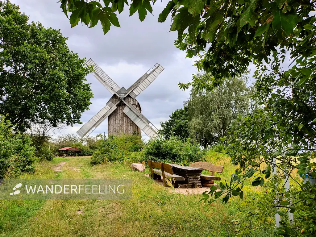 202308050-24 - Windmühle und Rastplatz bei Borne, Fläming, Brandenburg, Deutschland