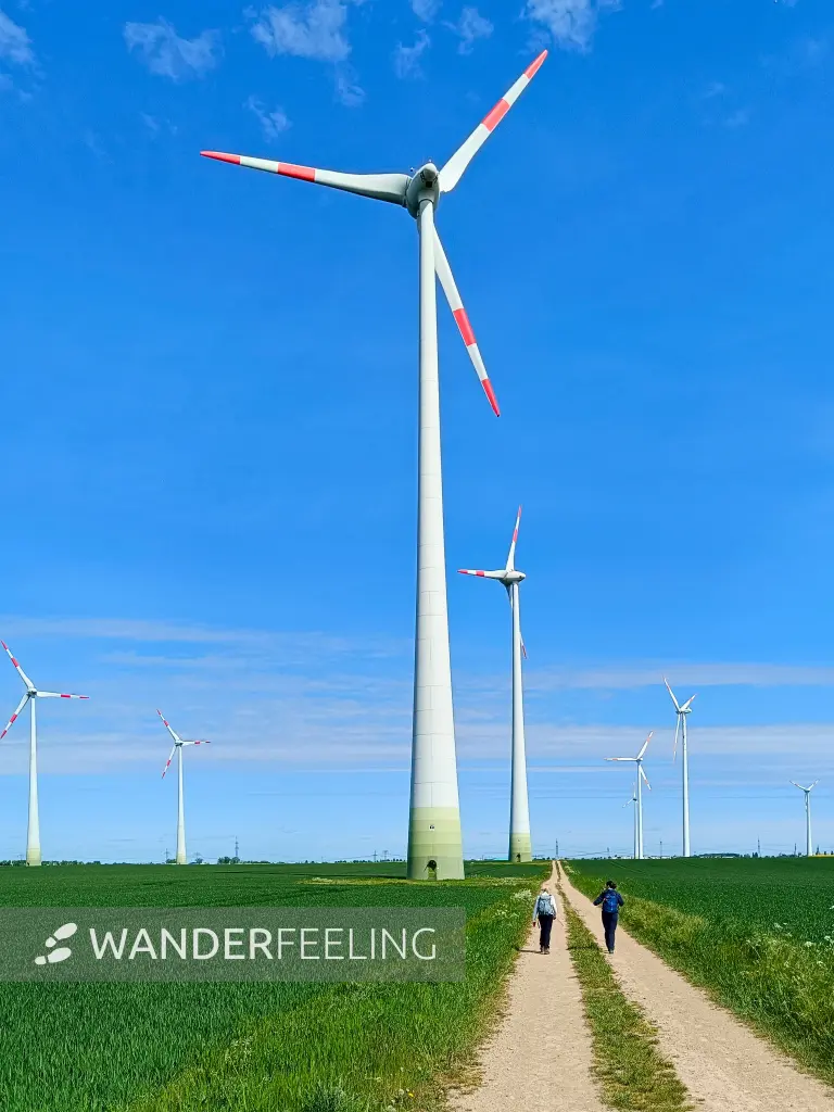202505030-31 - Windräder bei Markee, Havelland, Brandenburg, Deutschland