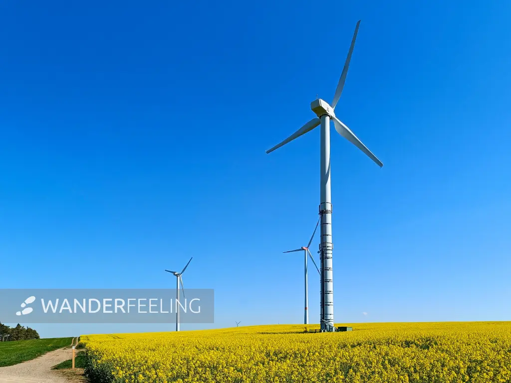 202604220-04 - Windräder und Rapsfeld bei Dottel, Eifel, Nordrhein-Westfalen, Deutschland