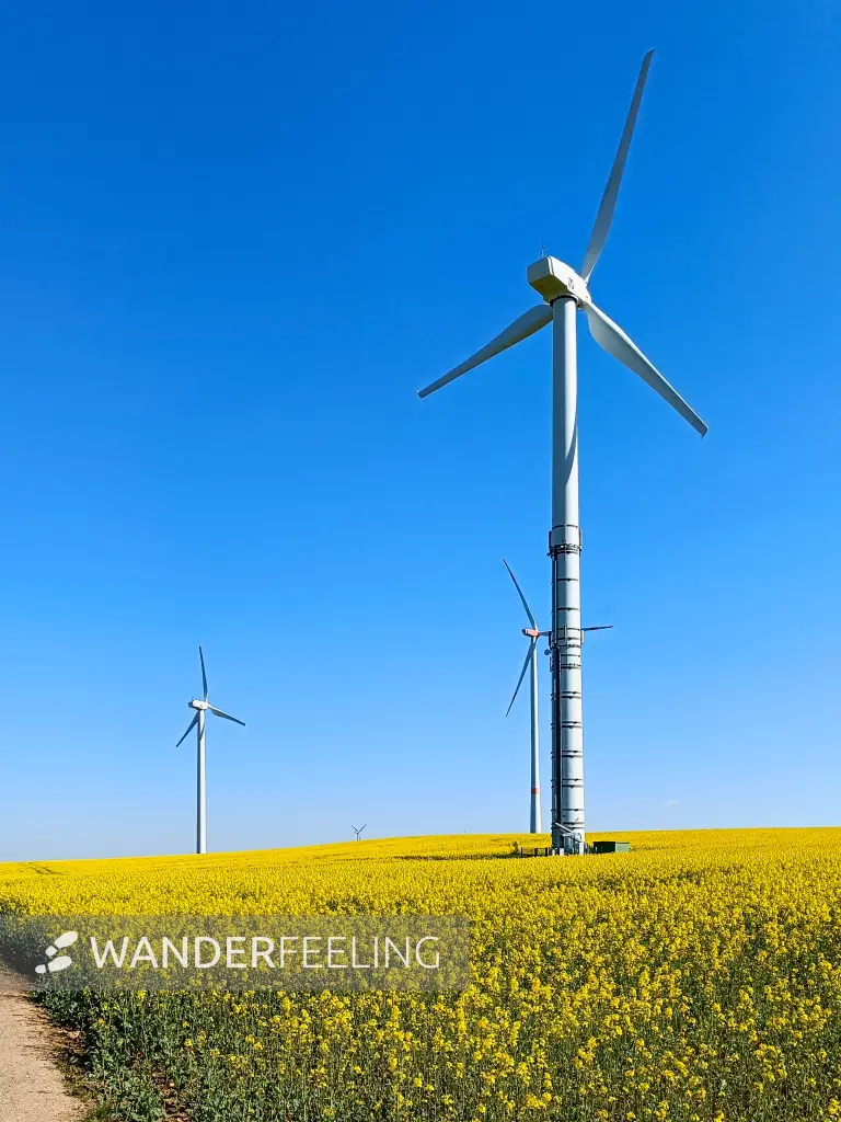 202604220-05 - Windräder und Rapsfeld bei Dottel, Eifel, Nordrhein-Westfalen, Deutschland