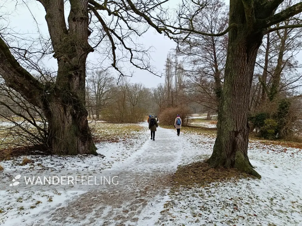 202602070-16 - Winterlicher Weg im Schlosspark Sacrow, Potsdam, Brandenburg, Deutschland