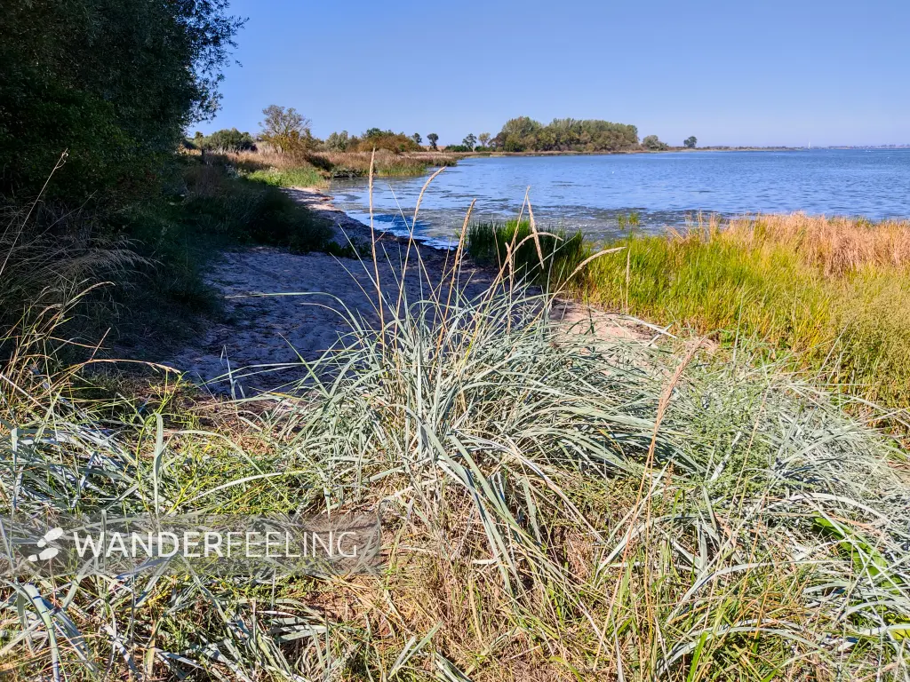 202309060-15 - Wismarer Bucht bei Fliemstorf, Mecklenburgische Ostseeküste, Mecklenburg-Vorpommern, Deutschland