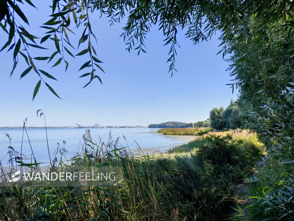 202309060-18 - Wismarer Bucht bei Hoben, Mecklenburgische Ostseeküste, Mecklenburg-Vorpommern, Deutschland